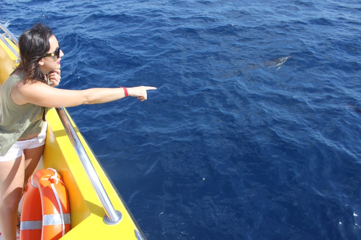 Woman on a boat pointing at the ocean with a dolphin visible in the water.