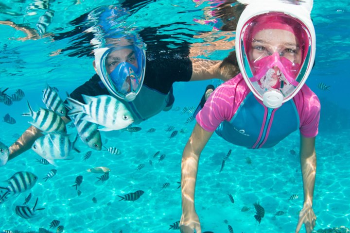 Two snorkelers wearing full-face masks swim underwater with striped fish around them.