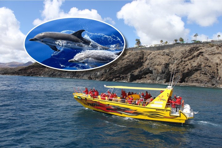 Yellow boat with passengers on blue water, inset of dolphins swimming.