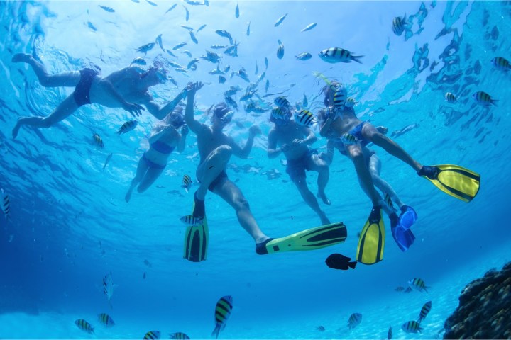 Group of people snorkeling underwater with colorful fish around them.