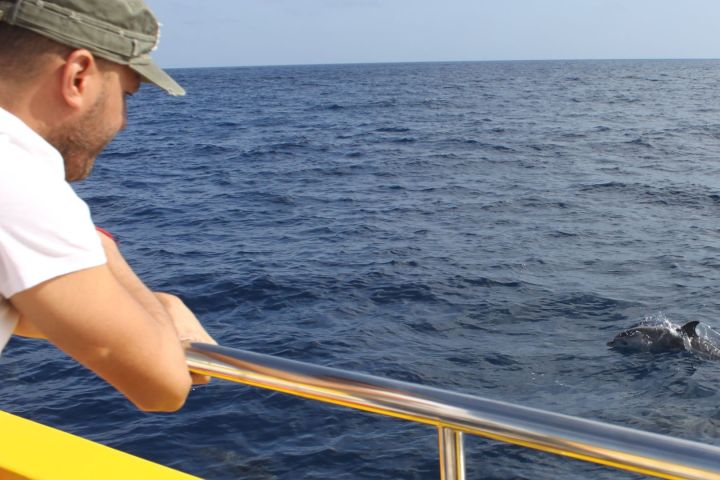 Man in white shirt on a boat watching a dolphin swim in the ocean.